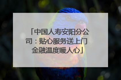 中国人寿安阳分公司：贴心服务送上门 金融温度暖人心