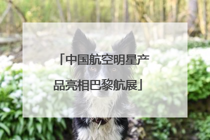 中国航空明星产品亮相巴黎航展