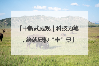 中新武威观｜科技为笔，绘就夏粮“丰”景