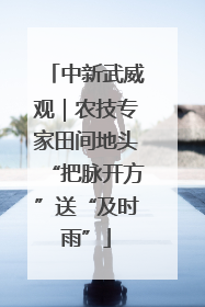 中新武威观｜农技专家田间地头“把脉开方”送“及时雨”