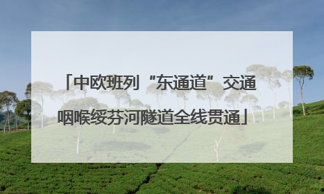 中欧班列“东通道”交通咽喉绥芬河隧道全线贯通