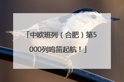 中欧班列（合肥）第5000列鸣笛起航！