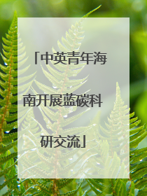 中英青年海南开展蓝碳科研交流