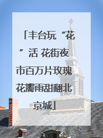 丰台玩“花”活 花街夜市百万片玫瑰花瓣雨甜翻北京城