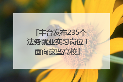 丰台发布235个法务就业实习岗位！面向这些高校