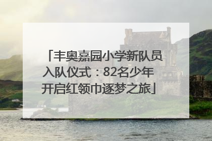 丰奥嘉园小学新队员入队仪式：82名少年开启红领巾逐梦之旅