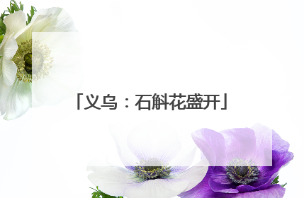 义乌：石斛花盛开