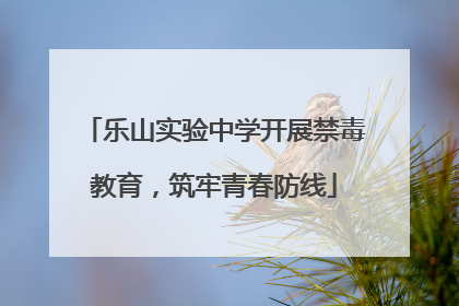 乐山实验中学开展禁毒教育，筑牢青春防线