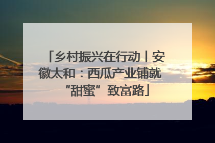 乡村振兴在行动丨安徽太和：西瓜产业铺就“甜蜜”致富路