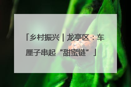 乡村振兴｜龙亭区：车厘子串起“甜蜜链”