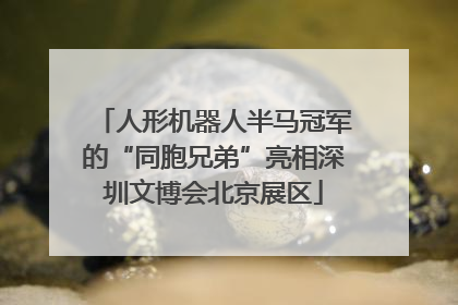 人形机器人半马冠军的“同胞兄弟”亮相深圳文博会北京展区