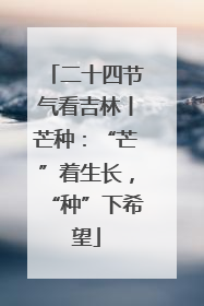二十四节气看吉林丨芒种：“芒”着生长，“种”下希望