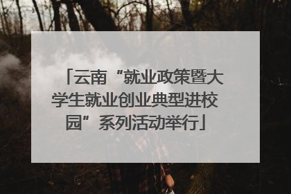 云南“就业政策暨大学生就业创业典型进校园”系列活动举行
