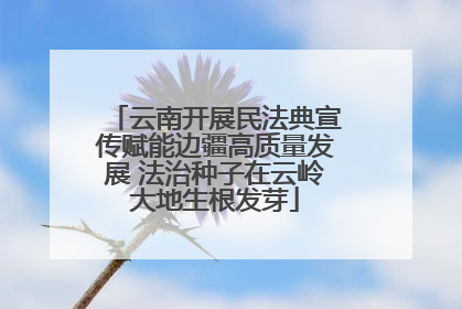 云南开展民法典宣传赋能边疆高质量发展 法治种子在云岭大地生根发芽