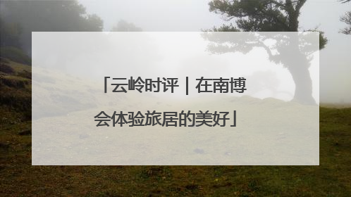 云岭时评｜在南博会体验旅居的美好