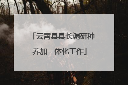 云霄县县长调研种养加一体化工作