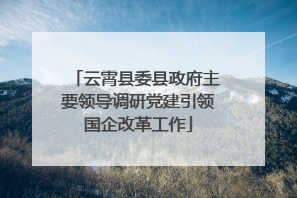 云霄县委县政府主要领导调研党建引领国企改革工作