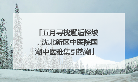 五月寻槐邂逅怪坡，沈北新区中医院国潮中医雅集引热潮