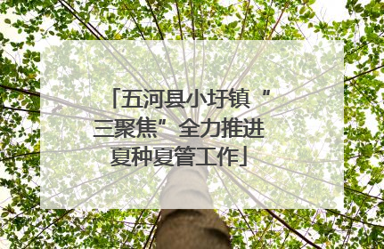 五河县小圩镇“三聚焦”全力推进夏种夏管工作