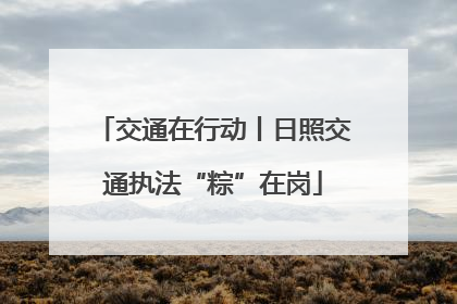 交通在行动丨日照交通执法“粽”在岗