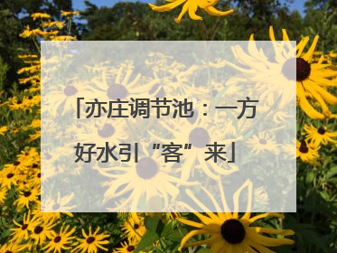 亦庄调节池：一方好水引“客”来