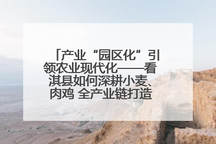 产业“园区化”引领农业现代化——看淇县如何深耕小麦、肉鸡 全产业链打造现代农业产业园