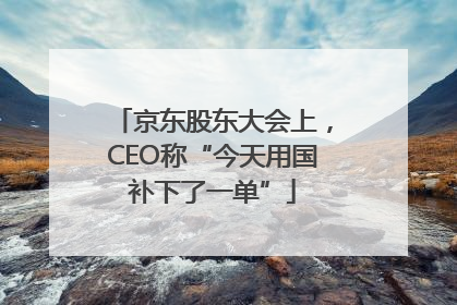 京东股东大会上，CEO称“今天用国补下了一单”