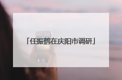 任振鹤在庆阳市调研