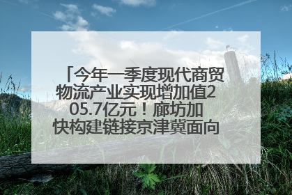 今年一季度现代商贸物流产业实现增加值205.7亿元！廊坊加快构建链接京津冀面向全世界的物流通道
