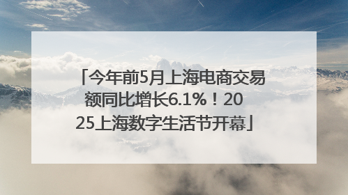 今年前5月上海电商交易额同比增长6.1%！2025上海数字生活节开幕