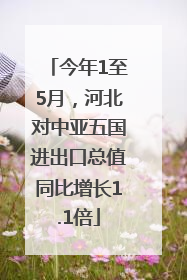 今年1至5月，河北对中亚五国进出口总值同比增长1.1倍