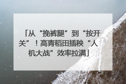 从“挽裤腿”到“按开关”！高青稻田插秧“人机大战”效率拉满