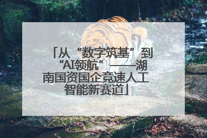 从“数字筑基”到“AI领航”——湖南国资国企竞速人工智能新赛道
