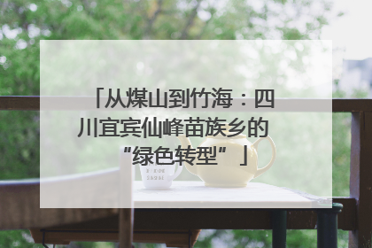 从煤山到竹海：四川宜宾仙峰苗族乡的“绿色转型”