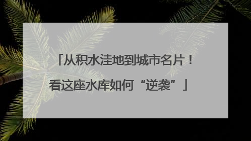 从积水洼地到城市名片！看这座水库如何“逆袭”