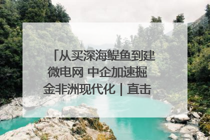 从买深海鳀鱼到建微电网 中企加速掘金非洲现代化｜直击中非经贸博览会