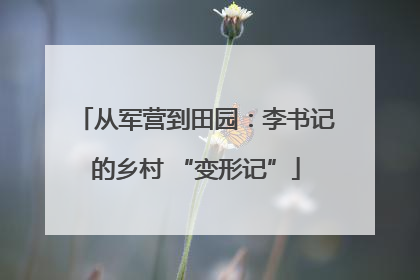 从军营到田园：李书记的乡村 “变形记”