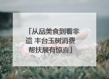 从品美食到看非遗 丰台玉树消费帮扶展有惊喜