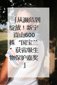 从濒危到绽放！新宁崀山600株“国宝兰”获省级生物保护嘉奖