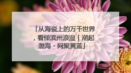 从海瓷上的万千世界，看懂滨州浪漫｜潮起渤海・网聚黄蓝