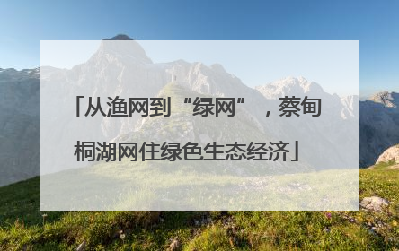 从渔网到“绿网”，蔡甸桐湖网住绿色生态经济