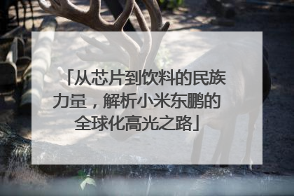 从芯片到饮料的民族力量，解析小米东鹏的全球化高光之路