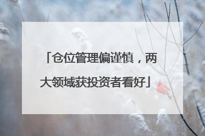 仓位管理偏谨慎，两大领域获投资者看好