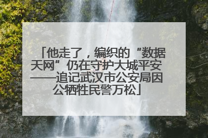 他走了，编织的“数据天网”仍在守护大城平安——追记武汉市公安局因公牺牲民警万松