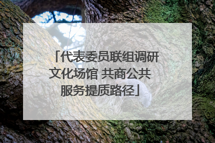 代表委员联组调研文化场馆 共商公共服务提质路径
