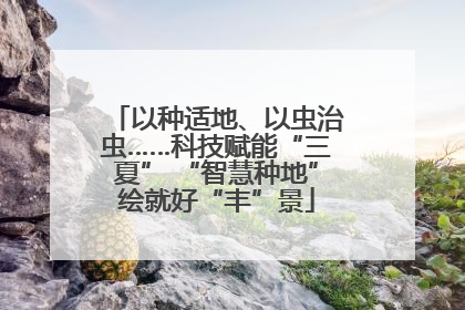 以种适地、以虫治虫……科技赋能“三夏” “智慧种地”绘就好“丰”景
