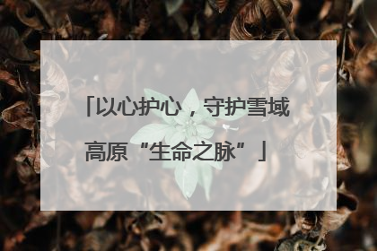 以心护心，守护雪域高原“生命之脉”