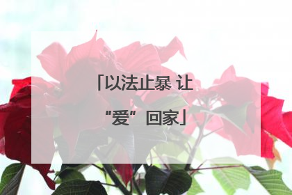 以法止暴 让“爱”回家