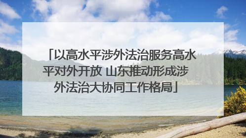 以高水平涉外法治服务高水平对外开放 山东推动形成涉外法治大协同工作格局