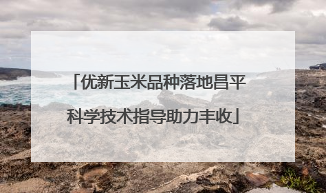 优新玉米品种落地昌平 科学技术指导助力丰收